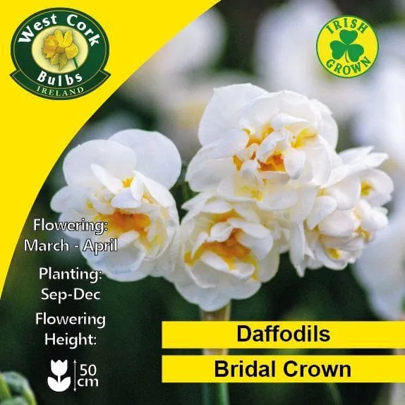 Daffodil Bridal Crown