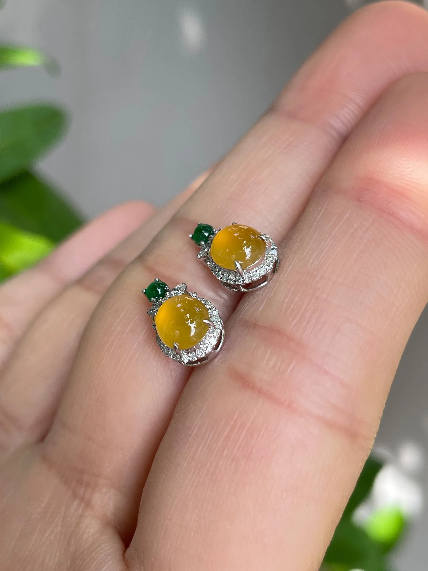 Icy Yellow Jade Cabochon Earrings (NJE030)