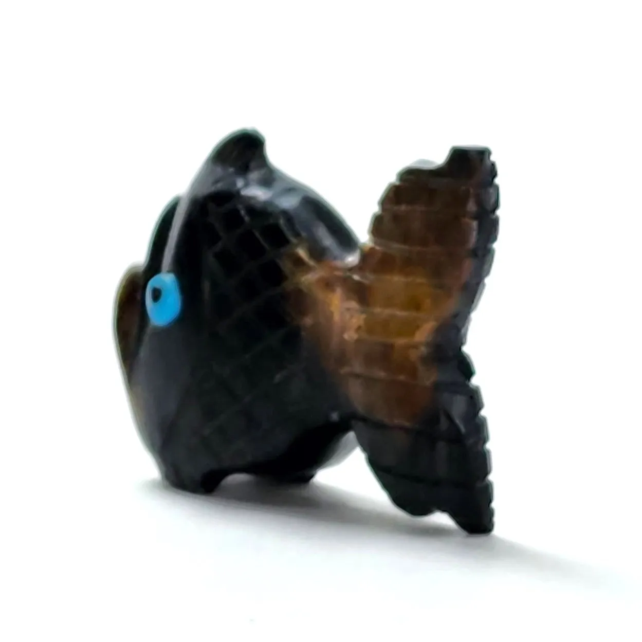 Lucky Fish