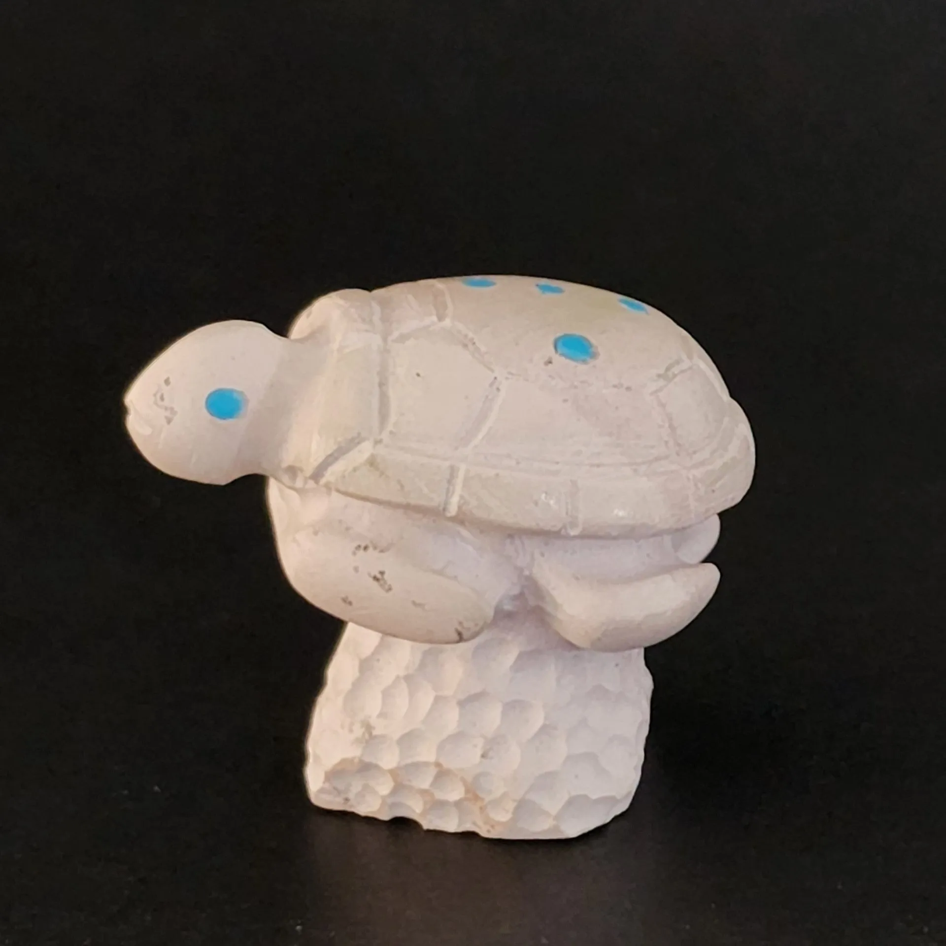 Tranquil Sea Turtle