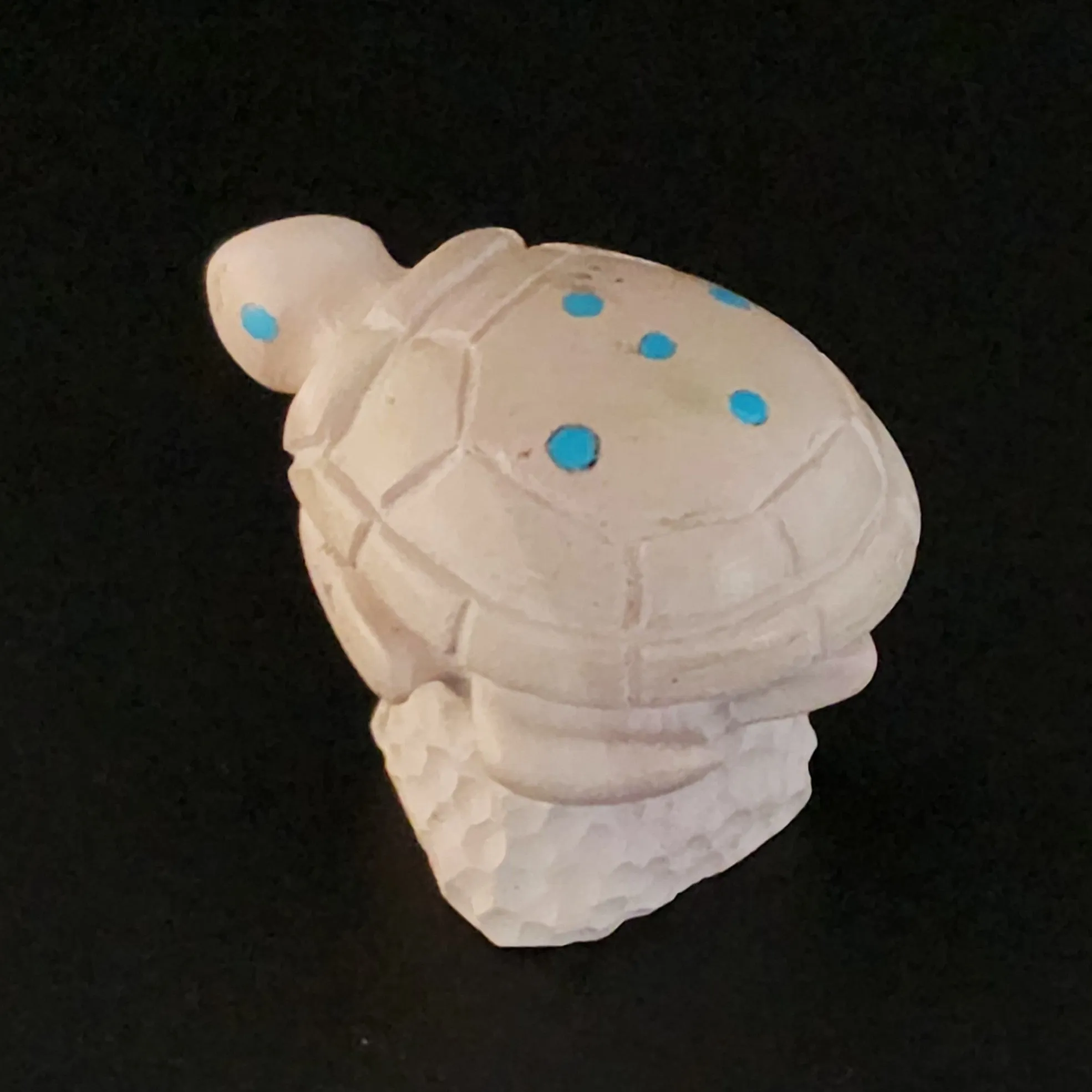 Tranquil Sea Turtle