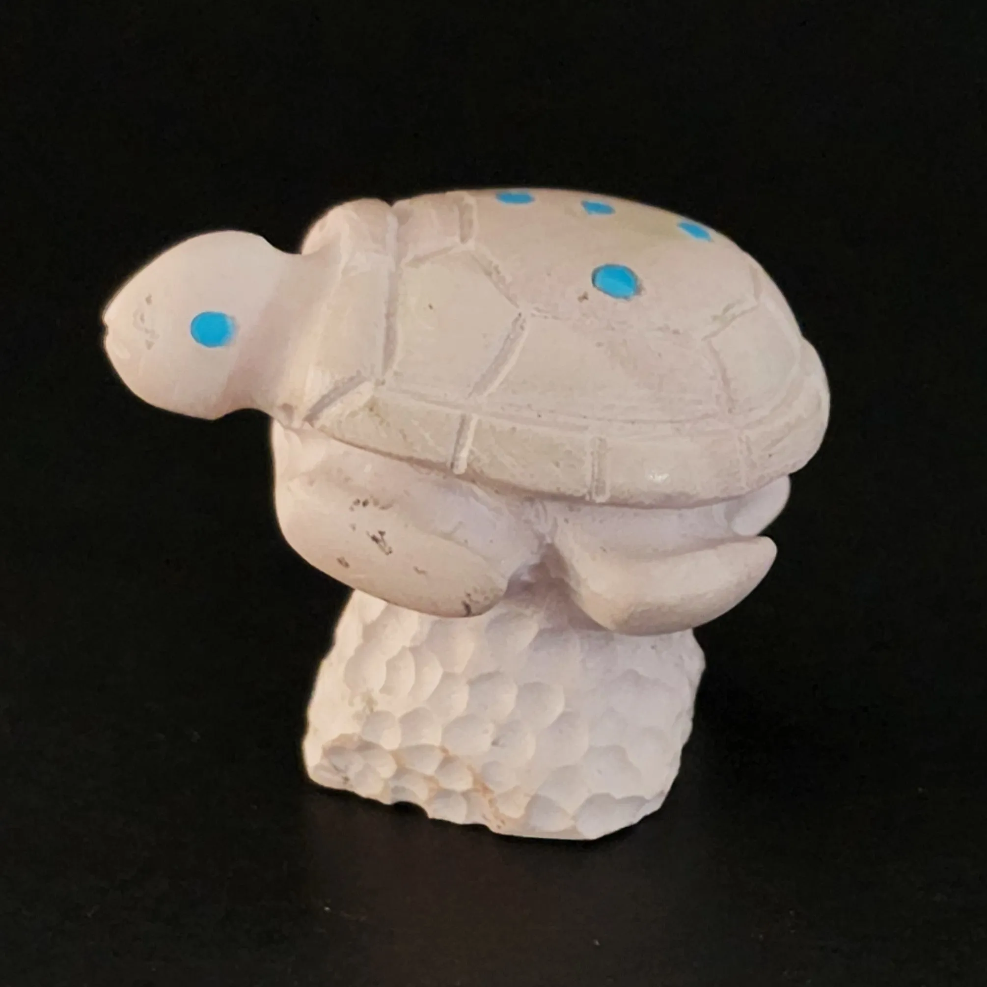 Tranquil Sea Turtle